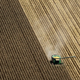 Image for article titled Corn Pollution Kills Thousands of Americans a Year, Study Finds